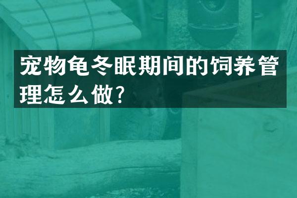 宠物龟冬眠期间的饲养管理怎么做？