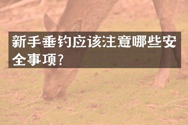 新手垂钓应该注意哪些安全事项？