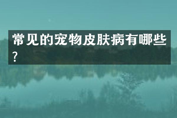 常见的宠物皮肤病有哪些？