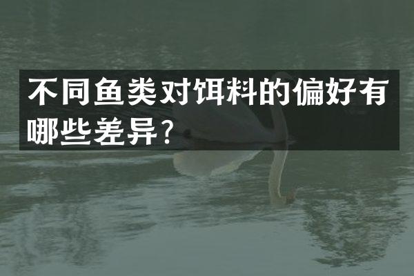 不同鱼类对饵料的偏好有哪些差异？
