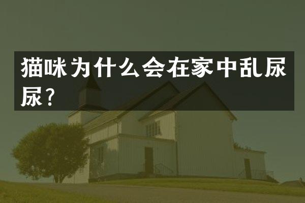 猫咪为什么会在家中乱尿尿？