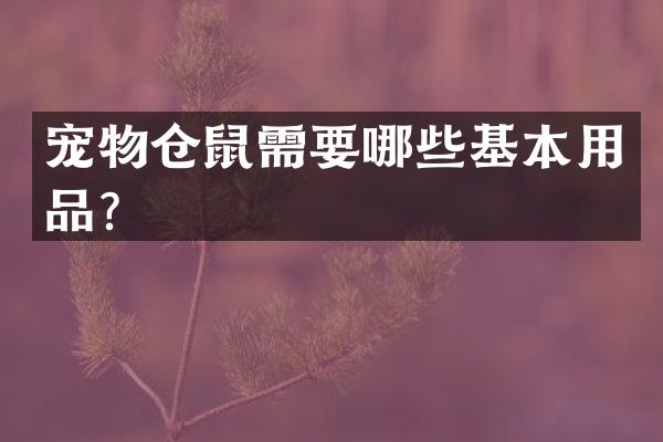 宠物仓鼠需要哪些基本用品？