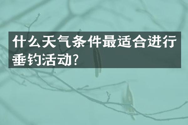什么天气条件最适合进行垂钓活动？