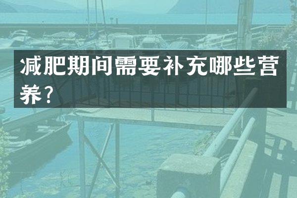 减肥期间需要补充哪些营养？