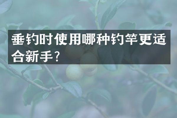 垂钓时使用哪种钓竿更适合新手？
