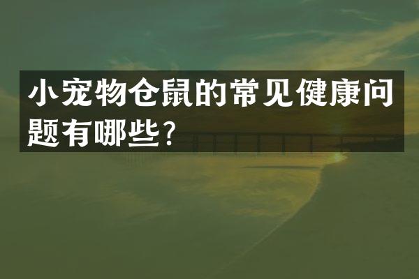 小宠物仓鼠的常见健康问题有哪些？