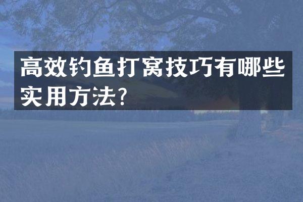 高效钓鱼打窝技巧有哪些实用方法？