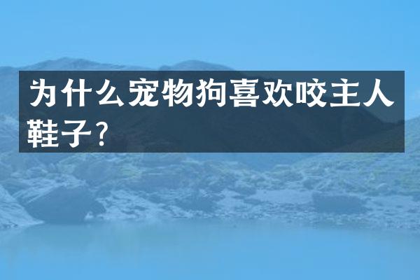 为什么宠物狗喜欢咬主人鞋子？