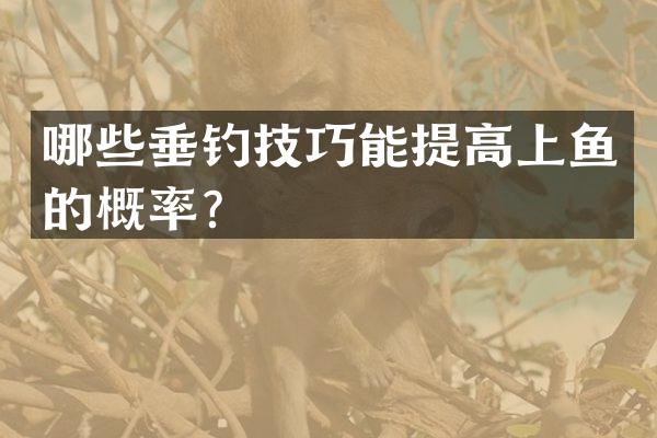 哪些垂钓技巧能提高上鱼的概率？
