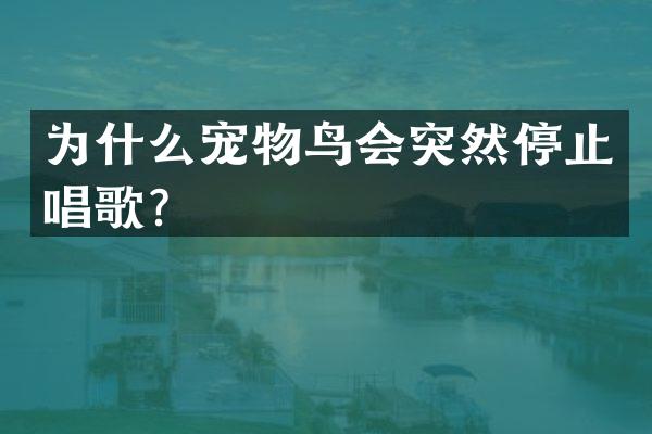 为什么宠物鸟会突然停止唱歌？