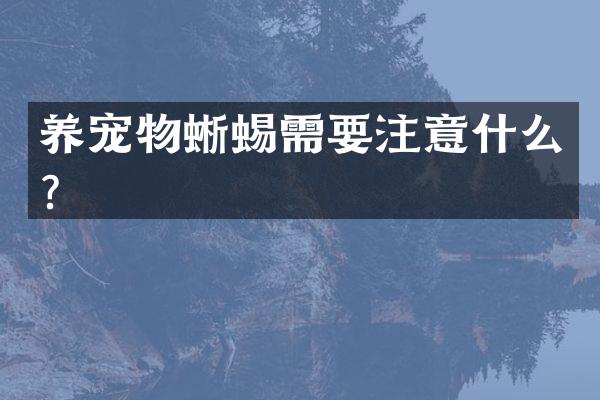 养宠物蜥蜴需要注意什么？