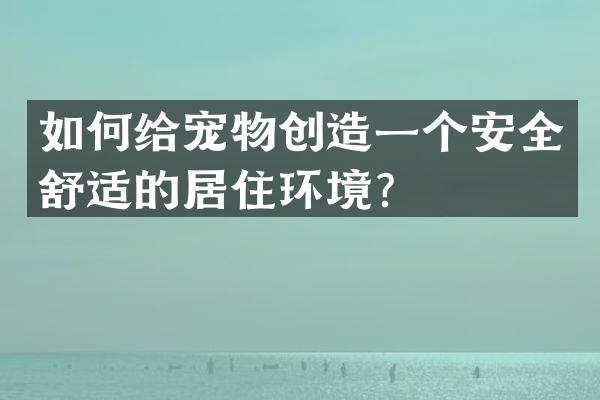 如何给宠物创造一个安全舒适的居住环境？