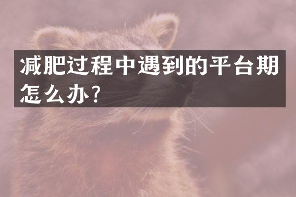 减肥过程中遇到的平台期怎么办？