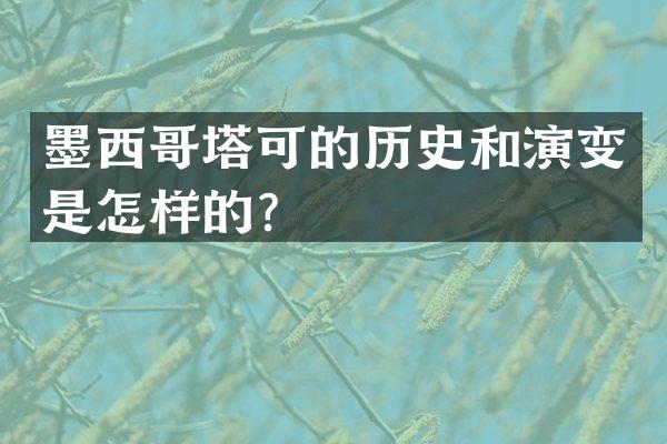 墨西哥塔可的历史和演变是怎样的？