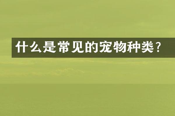 什么是常见的宠物种类？