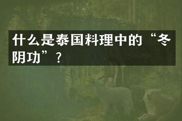 什么是泰国料理中的&ldquo;冬阴功&rdquo;？