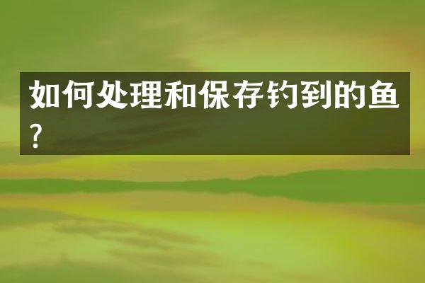 如何处理和保存钓到的鱼？