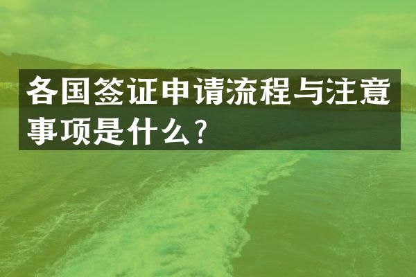 各国签证申请流程与注意事项是什么？