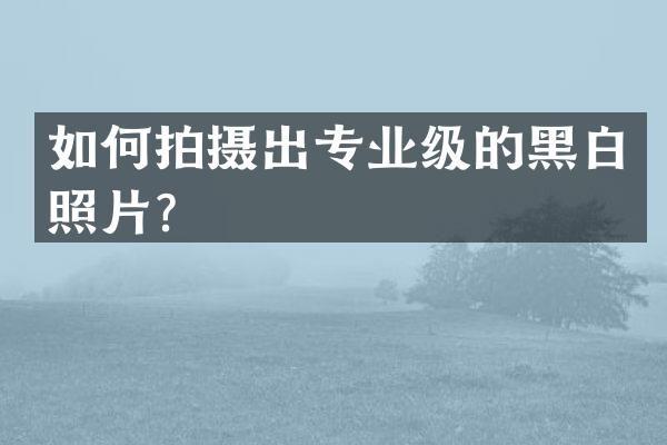 如何拍摄出专业级的黑白照片？