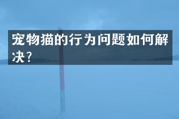 宠物猫的行为问题如何解决？