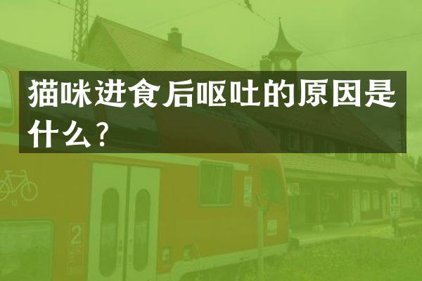 猫咪进食后呕吐的原因是什么？