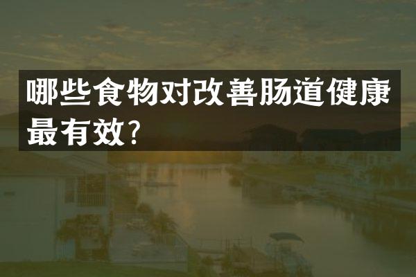 哪些食物对改善肠道健康最有效？