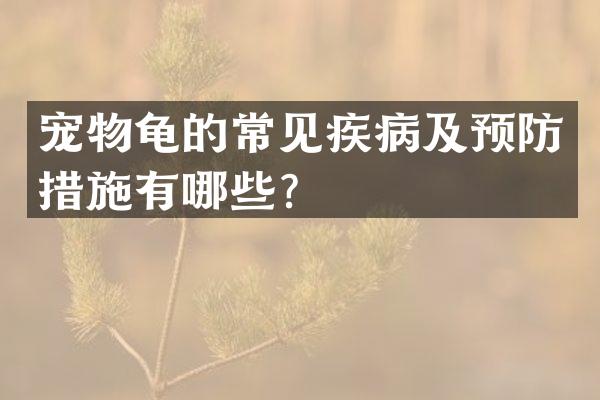 宠物龟的常见疾病及预防措施有哪些？