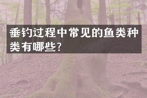 垂钓过程中常见的鱼类种类有哪些？