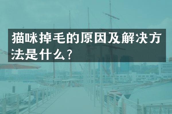 猫咪掉毛的原因及解决方法是什么？