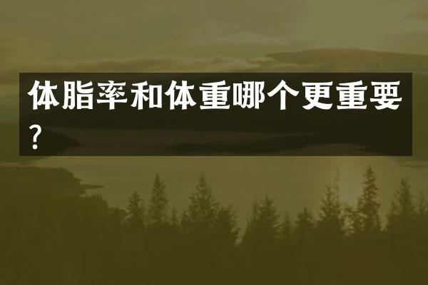 体脂率和体重哪个更重要？