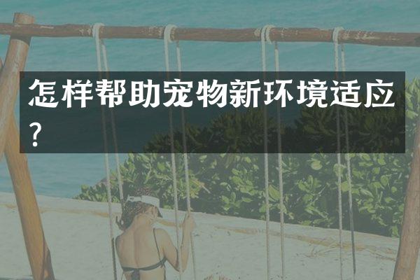 怎样帮助宠物新环境适应？