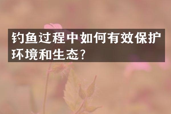 钓鱼过程中如何有效保护环境和生态？