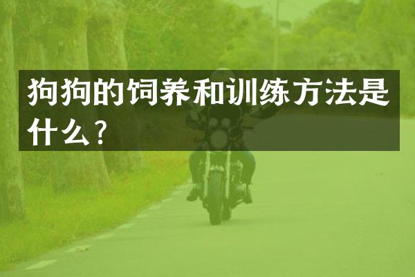 狗狗的饲养和训练方法是什么？