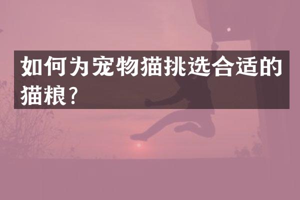 如何为宠物猫挑选合适的猫粮？