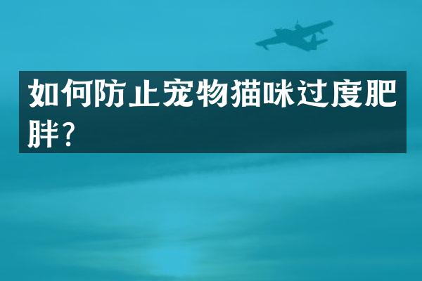 如何防止宠物猫咪过度肥胖？