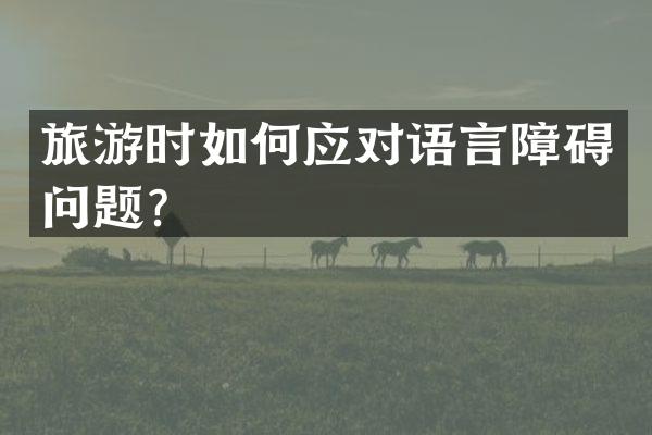 旅游时如何应对语言障碍问题？
