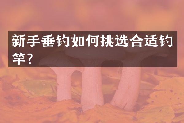 新手垂钓如何挑选合适钓竿？