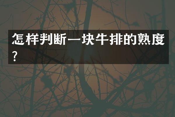 怎样判断一块牛排的熟度？