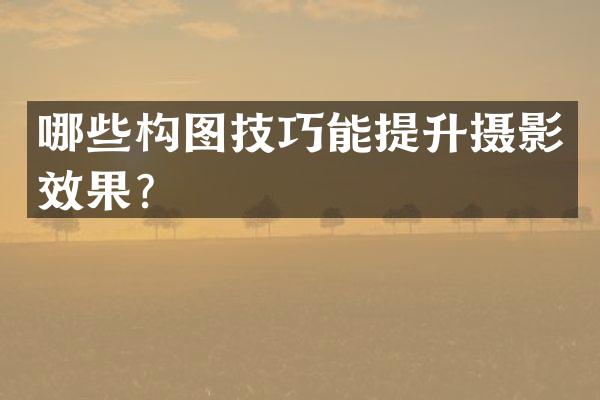 哪些构图技巧能提升摄影效果？