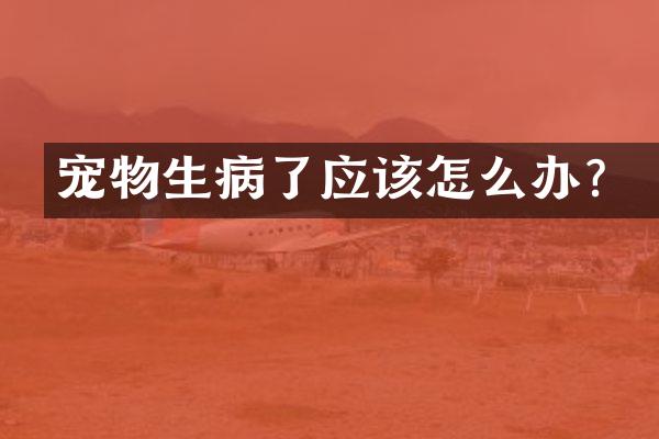 宠物生病了应该怎么办？