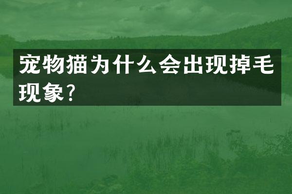 宠物猫为什么会出现掉毛现象？