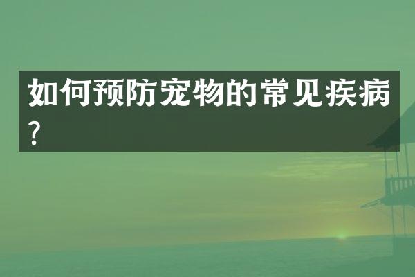 如何预防宠物的常见疾病？