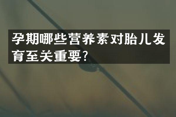 孕期哪些营养素对胎儿发育至关重要？