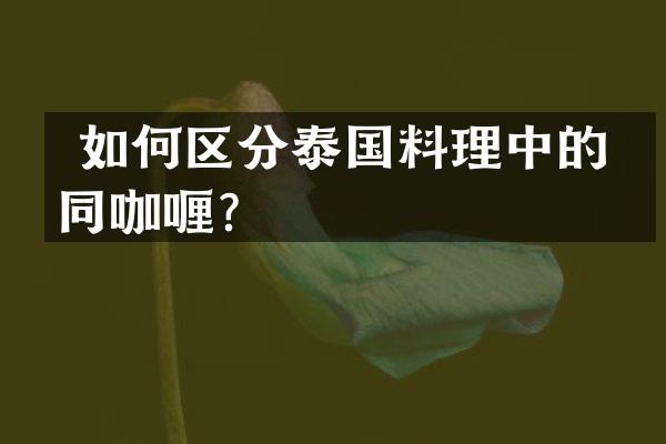  如何区分泰国料理中的不同咖喱？