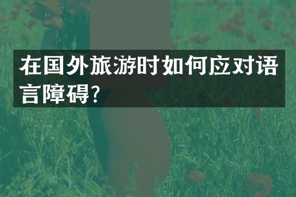 在国外旅游时如何应对语言障碍？