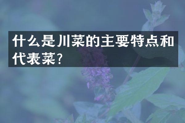 什么是川菜的主要特点和代表菜？