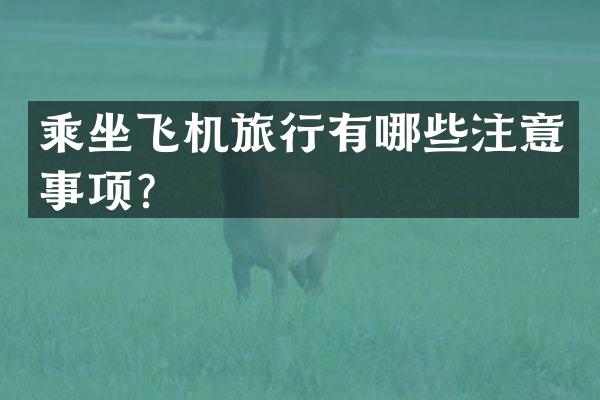 乘坐飞机旅行有哪些注意事项？