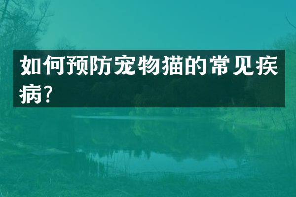 如何预防宠物猫的常见疾病？