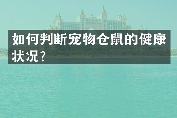 如何判断宠物仓鼠的健康状况？