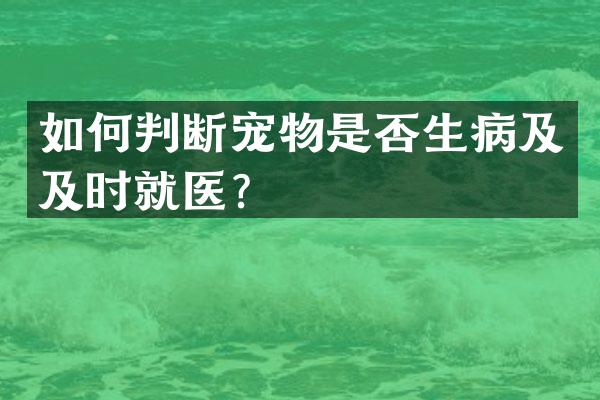 如何判断宠物是否生病及及时就医？